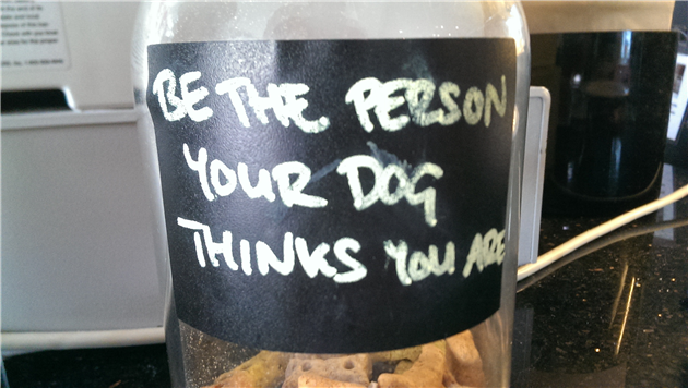 Be the person your dog thinks you are