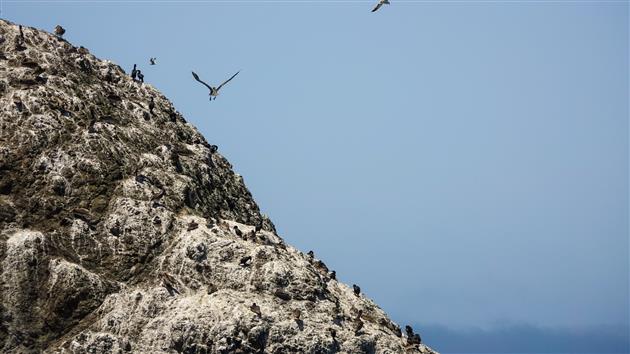 Coronavirus Hikes: June 2020