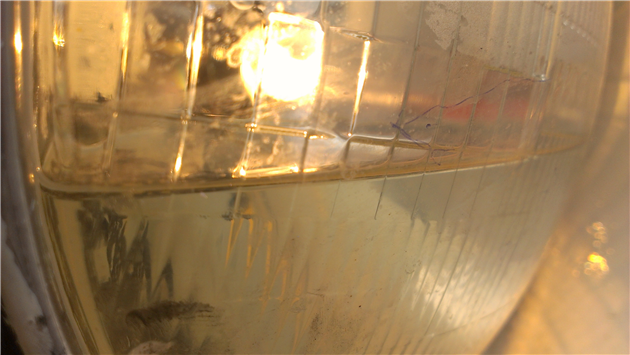 Semi flooded duck headlight