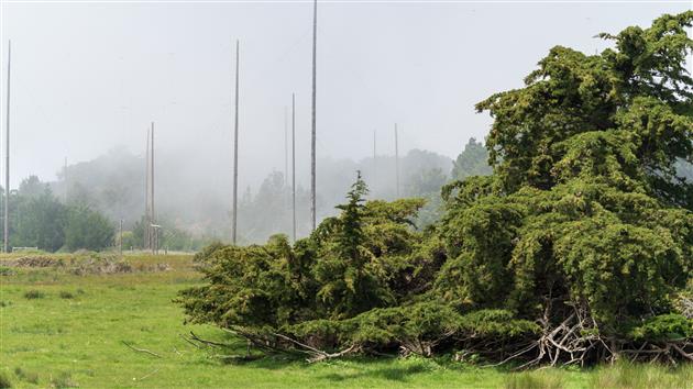Marconi Transmitting Station remnants in Bolinas