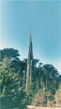 Spire