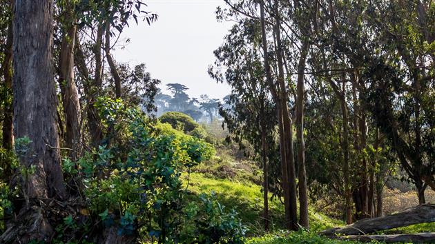 Timelapse, Week of Jan 31 2022